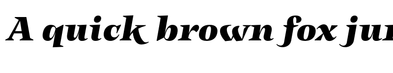 Preview of FONTSPRING DEMO - Subhead Black It Italic font