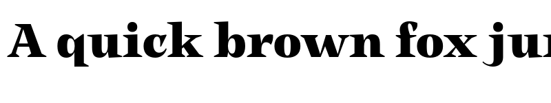 Preview of FONTSPRING DEMO - Subhead Black Regular font