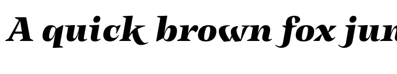 Preview of FONTSPRING DEMO - Subhead Heavy It Italic font