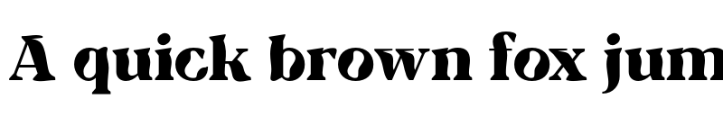 Preview of FONTSPRING DEMO - TA Charged Black Regular font