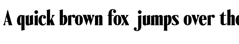 Preview of FONTSPRING DEMO - Ten Twenty Black Regular font
