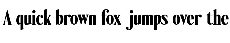 Preview of FONTSPRING DEMO - Ten Twenty ExtBd Regular font