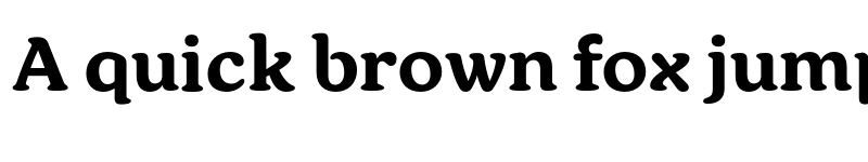 Preview of FONTSPRING DEMO - Text Heavy Regular font