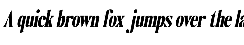 Preview of FONTSPRING DEMO - The Qualified Black Cond Slant Regular font