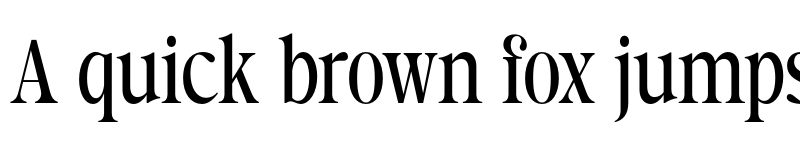 Preview of FONTSPRING DEMO - Timeless Memories Cond Regular font