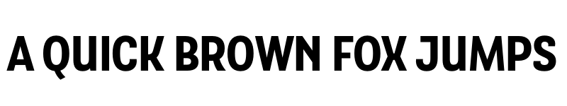 Preview of FONTSPRING DEMO - TouchMe Sans Black Regular font