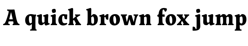 Preview of FONTSPRING DEMO - Traction Black Regular font