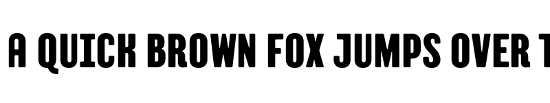 Preview of FONTSPRING DEMO - TT Berlinerins Grotesk font