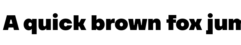 Preview of FONTSPRING DEMO - TT Firs Neue ExtraBlack Regular font