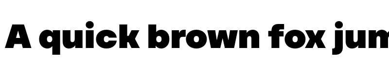 Preview of FONTSPRING DEMO - TT Firs Text ExtraBlack Regular font