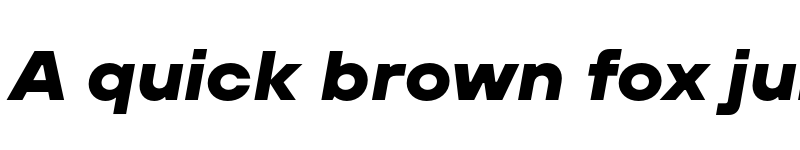 Preview of FONTSPRING DEMO - TT Hoves Pro Exp ExtraBold Italic font