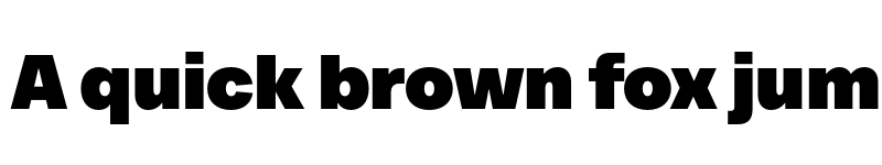 Preview of FONTSPRING DEMO - TT Neoris Black Regular font