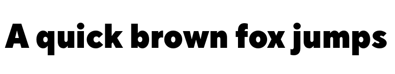 Preview of FONTSPRING DEMO - TT Norms Pro Compact Black Regular font