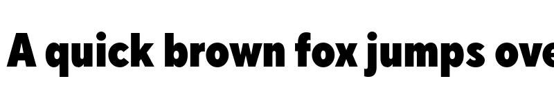 Preview of FONTSPRING DEMO - TT Norms Pro Cond Black Regular font