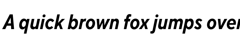 Preview of FONTSPRING DEMO - TT Norms Pro Cond Bold Italic font