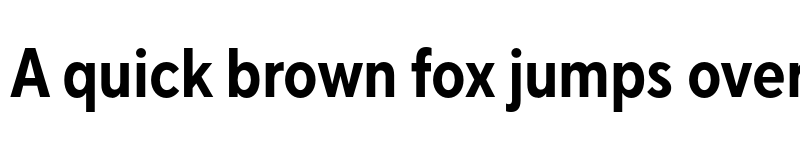 Preview of FONTSPRING DEMO - TT Norms Pro Cond Bold font