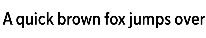 Preview of FONTSPRING DEMO - TT Norms Pro Cond DemiBold Regular font