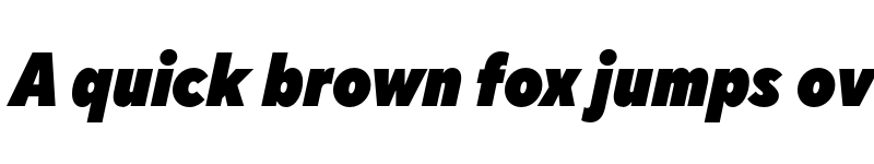 Preview of FONTSPRING DEMO - TT Norms Pro Cond ExtraBlack Italic font