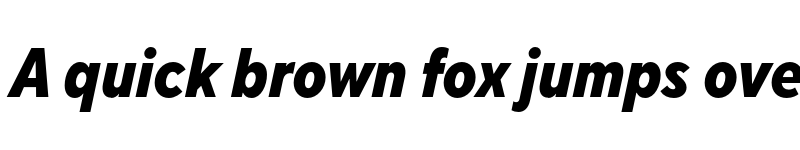 Preview of FONTSPRING DEMO - TT Norms Pro Cond ExtraBold Italic font