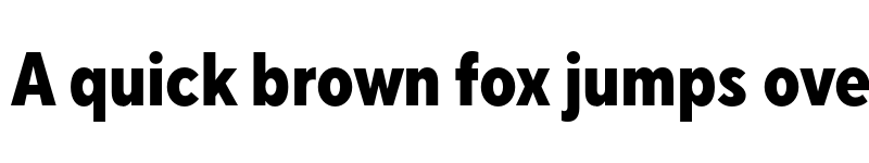 Preview of FONTSPRING DEMO - TT Norms Pro Cond ExtraBold Regular font