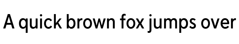 Preview of FONTSPRING DEMO - TT Norms Pro Cond Medium Regular font