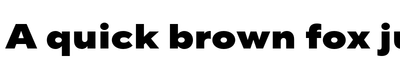 Preview of FONTSPRING DEMO - TT Norms Pro Exp Black Regular font