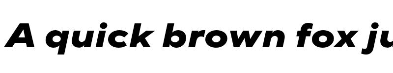 Preview of FONTSPRING DEMO - TT Norms Pro Exp ExtraBold Italic font