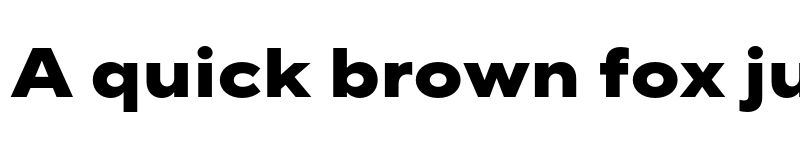 Preview of FONTSPRING DEMO - TT Norms Pro Exp ExtraBold Regular font