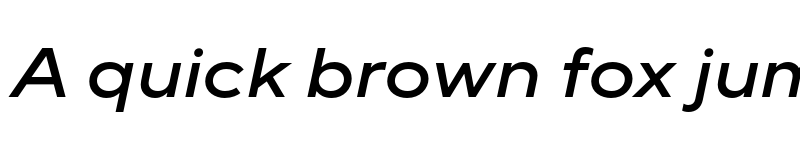 Preview of FONTSPRING DEMO - TT Norms Pro Exp Medium Italic font