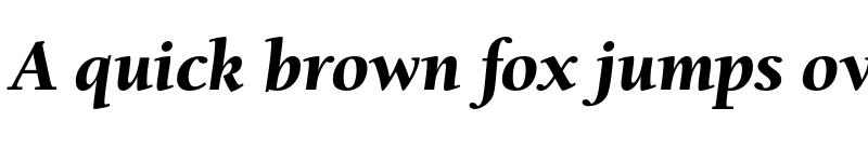 Preview of FONTSPRING DEMO - University Oldstyle Med Bold Italic font