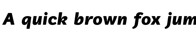 Preview of FONTSPRING DEMO - Vaccine Sans Black Italic font