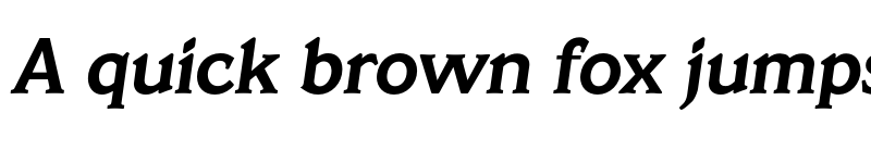 Preview of FONTSPRING DEMO - Veracruz Bold Italic font