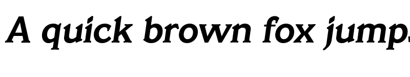 Preview of FONTSPRING DEMO - Veracruz Serial Bold Italic font