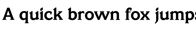 Preview of FONTSPRING DEMO - Veracruz Serial Bold font