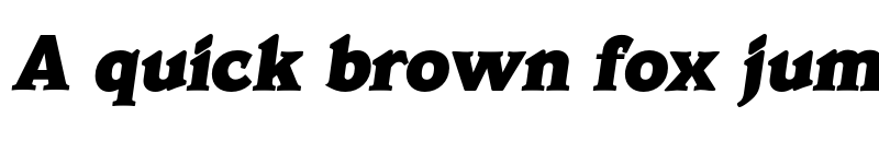 Preview of FONTSPRING DEMO - Veracruz Serial Heavy Italic font