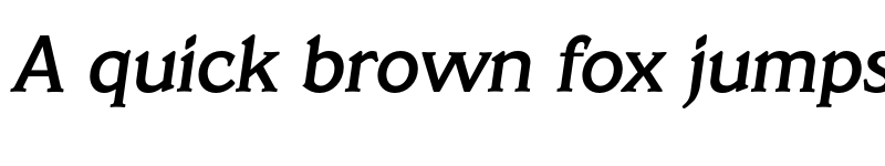 Preview of FONTSPRING DEMO - Veracruz Serial Medium Italic font