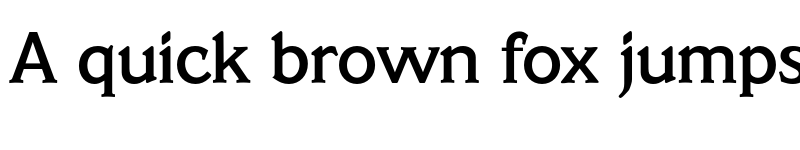 Preview of FONTSPRING DEMO - Veracruz Serial Medium Regular font