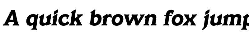 Preview of FONTSPRING DEMO - Veracruz Serial Xbold Italic font