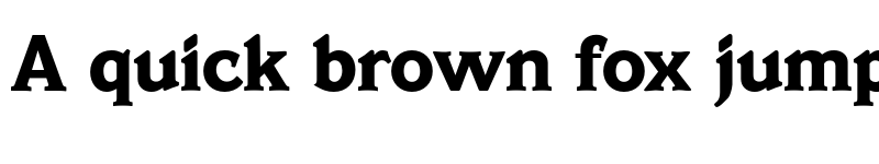 Preview of FONTSPRING DEMO - Veracruz Serial Xbold Regular font