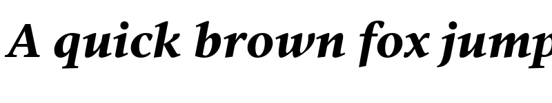 Preview of FONTSPRING DEMO - Vernacular Serif Black Italic font