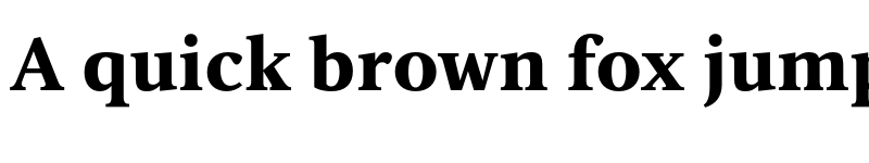 Preview of FONTSPRING DEMO - Vernacular Serif Black Regular font