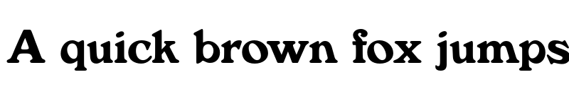 Preview of FONTSPRING DEMO - Verona FS Bold font