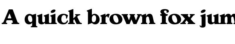 Preview of FONTSPRING DEMO - Verona Serial Xbold Regular font