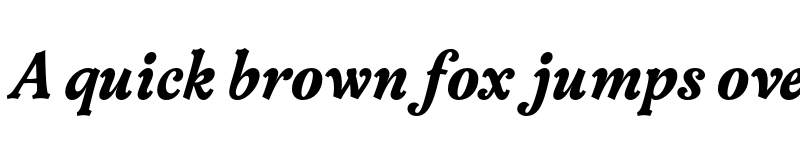 Preview of FONTSPRING DEMO - Versina Black It Regular font