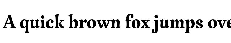 Preview of FONTSPRING DEMO - Versina ExtraBold Regular font