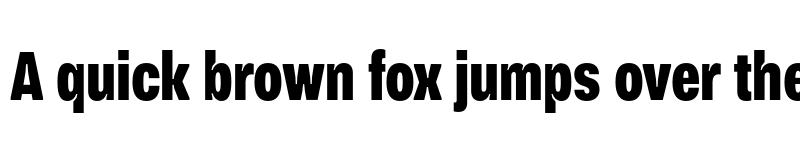 Preview of FONTSPRING DEMO - Vinila Compressed ExtraBold Regular font