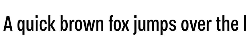 Preview of FONTSPRING DEMO - Vinila Compressed Regular font