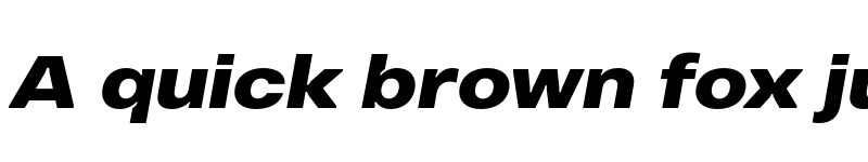 Preview of FONTSPRING DEMO - Vinila Extended ExtraBold Italic font