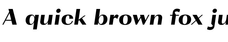 Preview of FONTSPRING DEMO - VolkoSans Display Black Italic Regular font