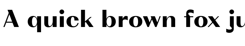 Preview of FONTSPRING DEMO - VolkoSans Display Black Regular font